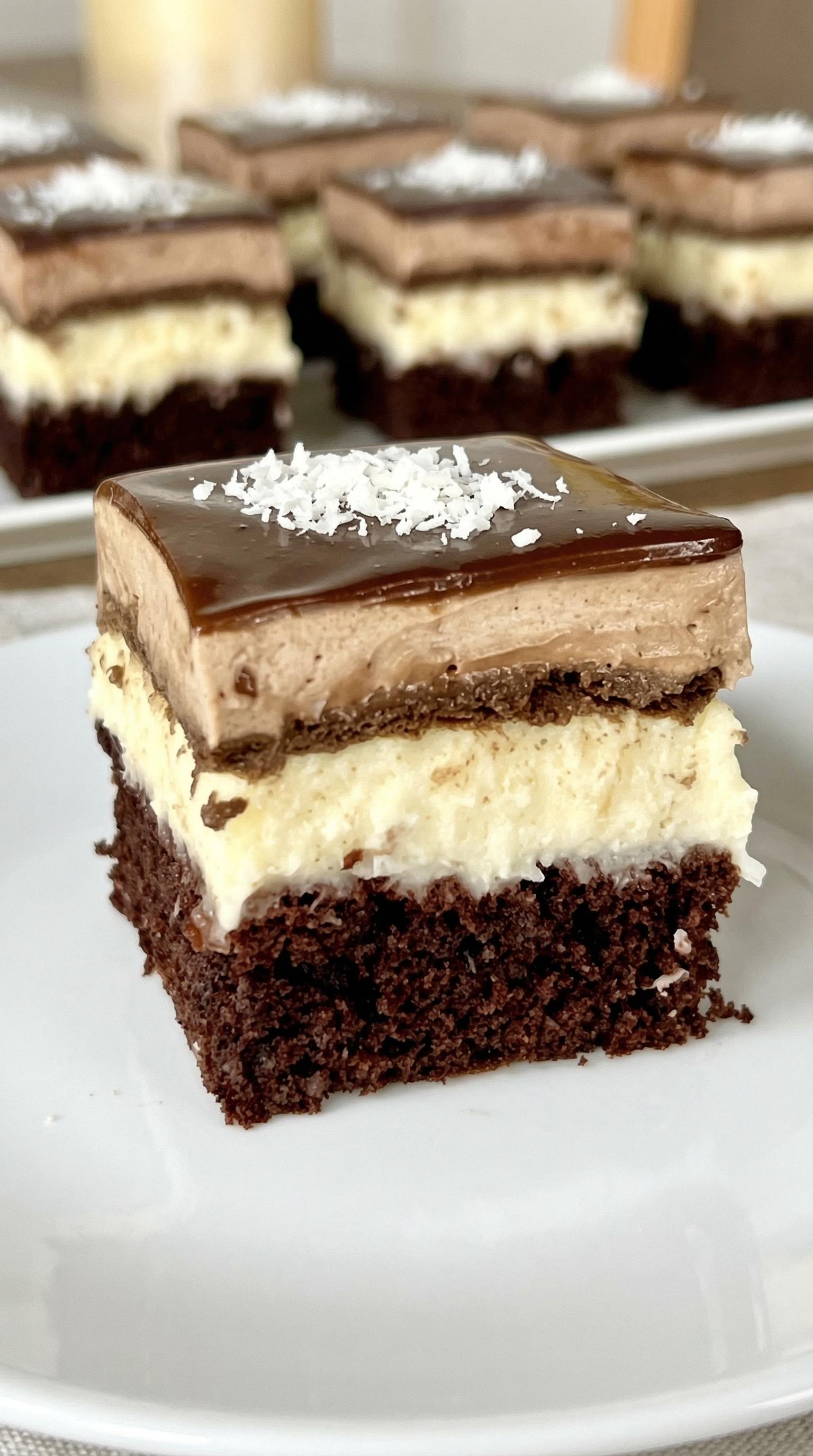 A slice of chocolate cake with coconut on top.