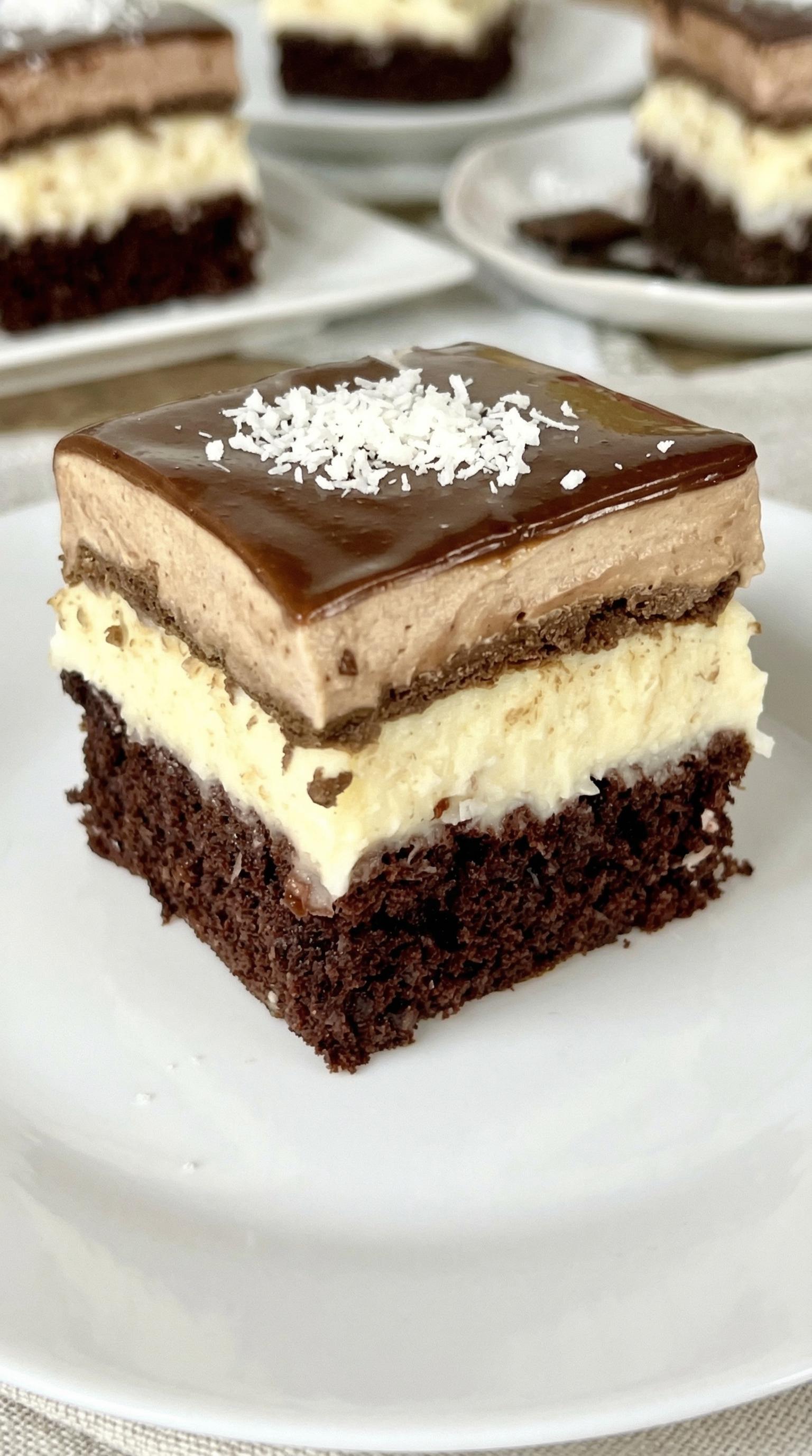 A slice of chocolate cake with coconut on top.