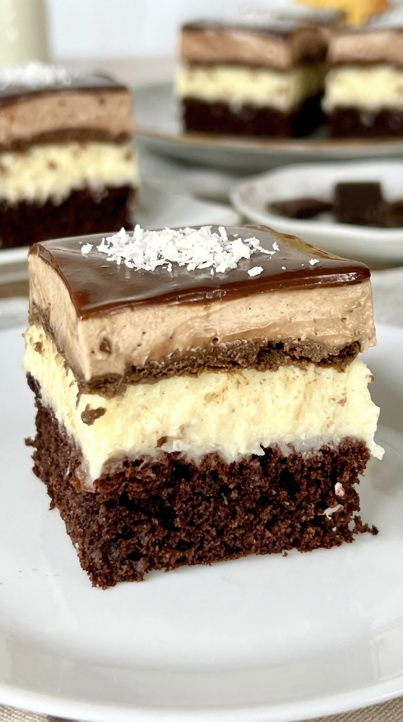 A slice of chocolate cake with coconut on top.
