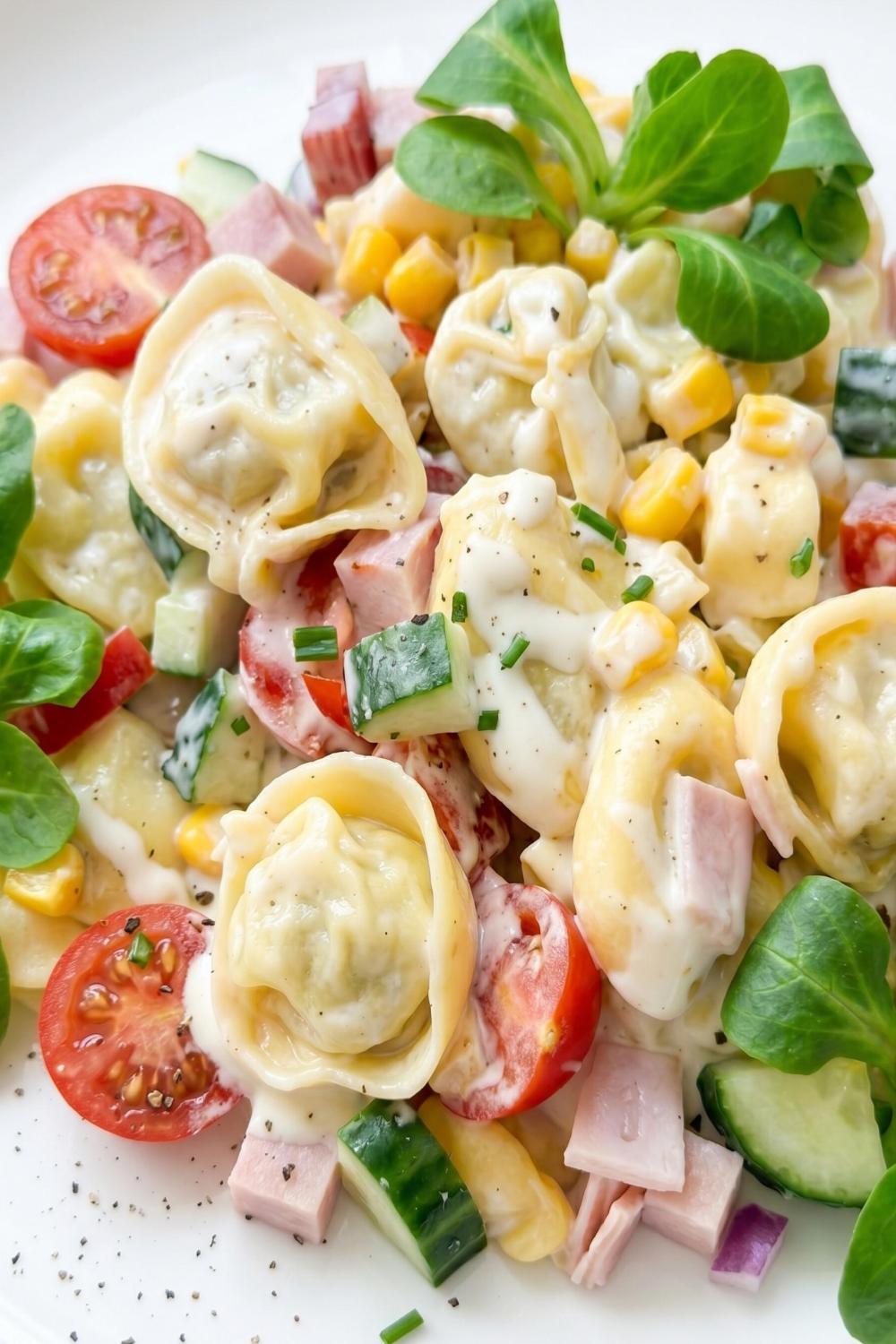 Template of Sałatka z tortellini pomidorami